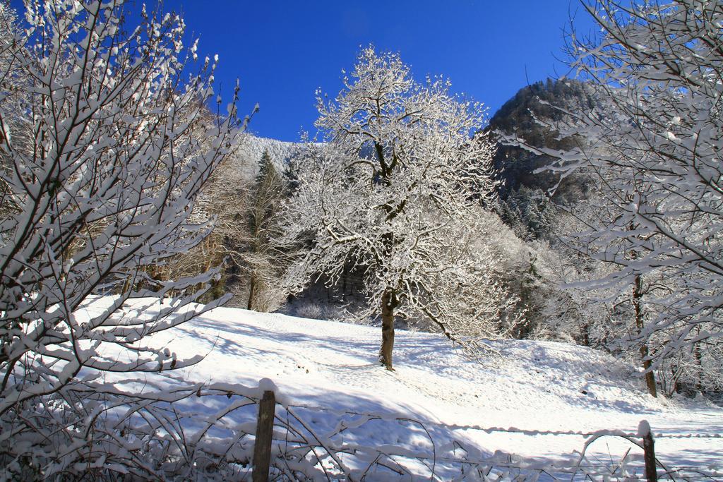 Hotel Panoramic Bagneres-de-Luchon ภายนอก รูปภาพ